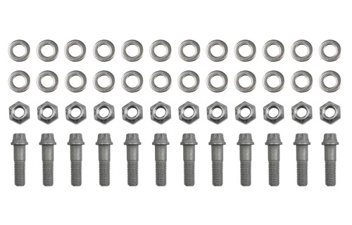 Racing bolt brake disc - ap,
