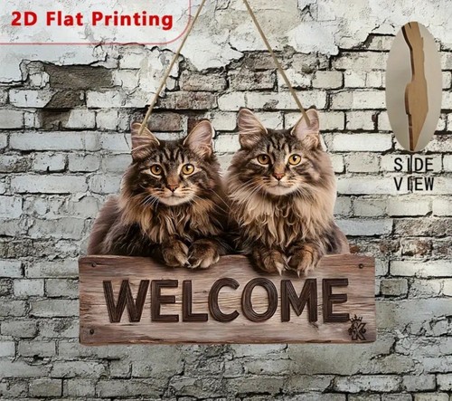 Beautiful maine coon - coon, cat