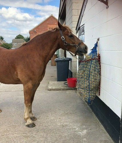 Hay net large - hay,
