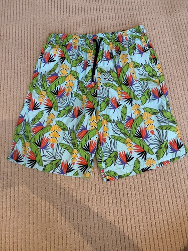 Vilebrequin men swim - men’s,
