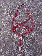 Dark Red Monty Roberts Be Nice