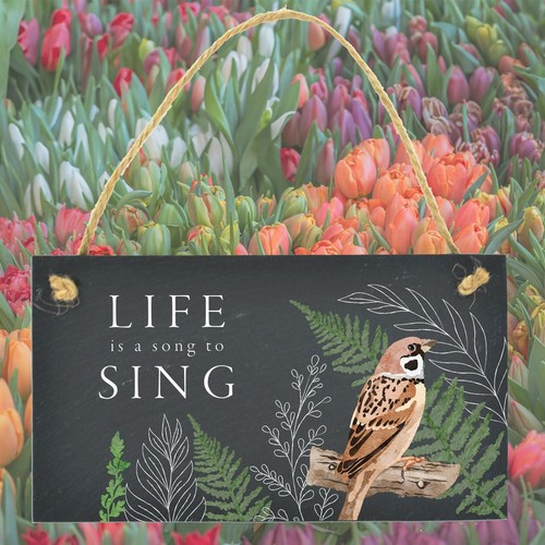 Life song sing sparrow - song,