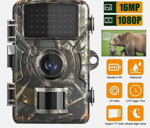 Wildlife camera with night - wildlife,