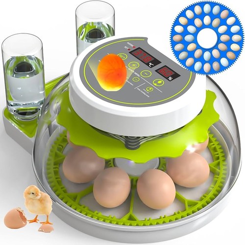 Egg incubator for hatching - for,