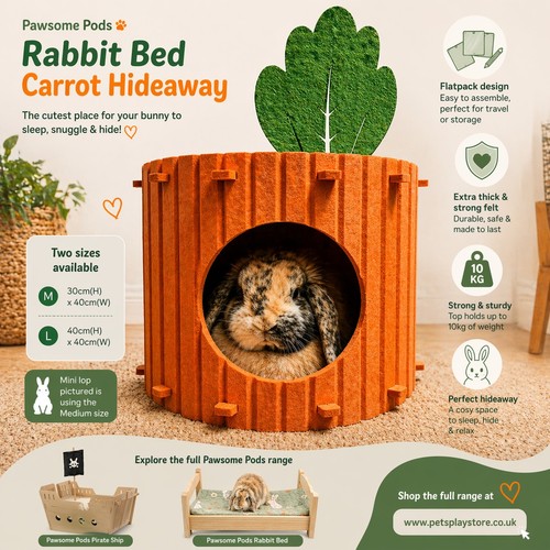 Pet rabbit small - rabbit,,