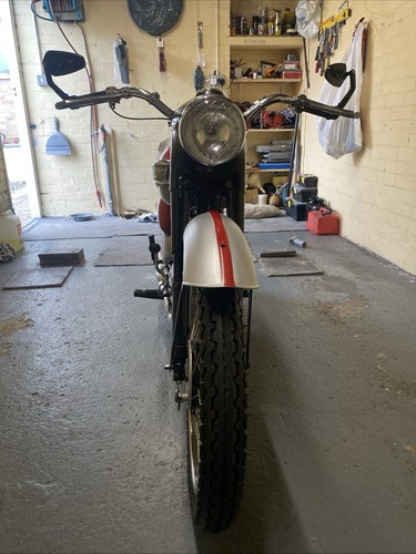 T20 triumph tiger cub - tiger, 1960