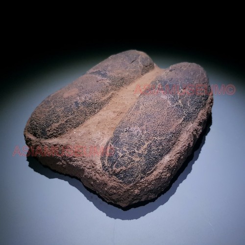 Oviraptor raptor velociraptor - raptor,