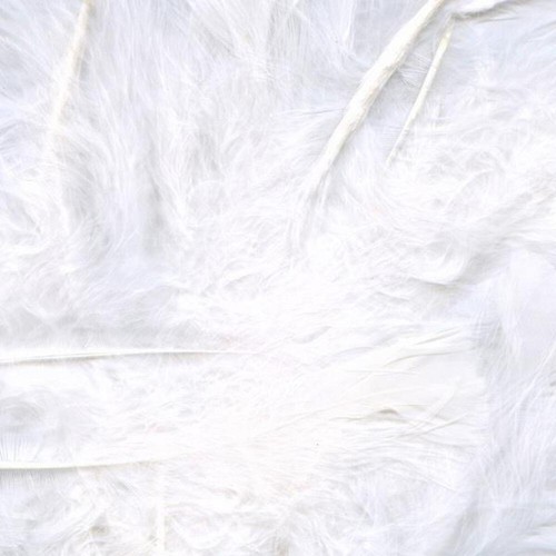 White feathers for crafting - feathers, 8