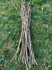 30x 55cm hybrid - hybrid, willow