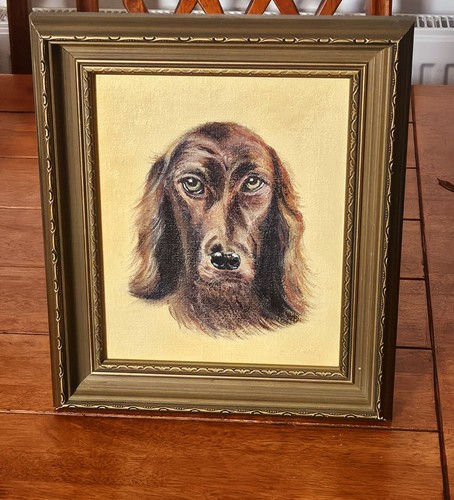 Original irish setter - irish, oil