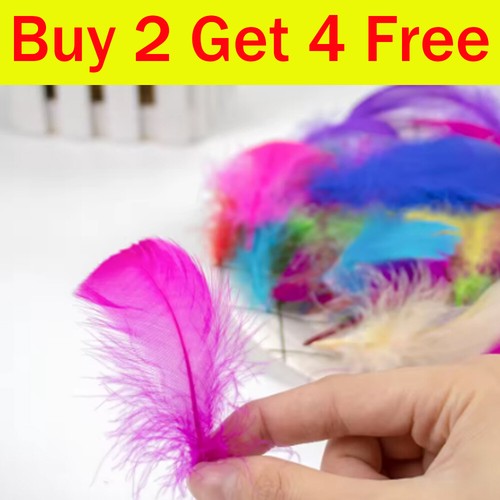 100x small fluffy swan - 100x,