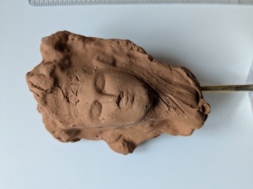 Italian terracotta head - italian,