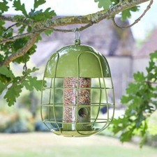 Squirrel Proof Bird Seed