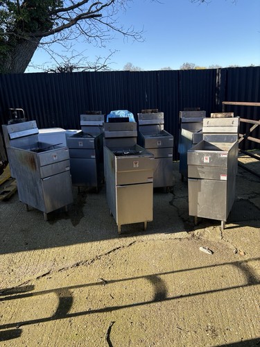 Lpg gas fryer twin - lpg,