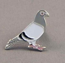 RACING PIGEON PIN BADGE