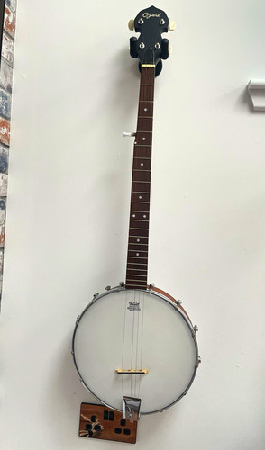 Ozark string open back banjo - ozark, 5-string