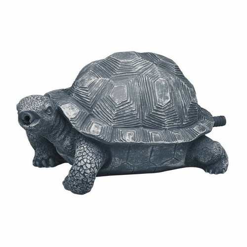 Oase pond spitting turtle - pond,