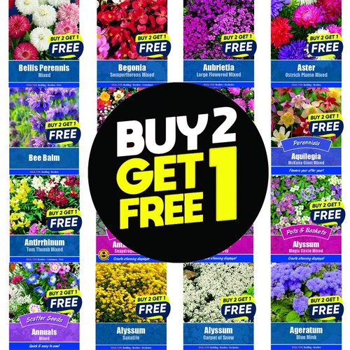 Flower seeds plants - flower,