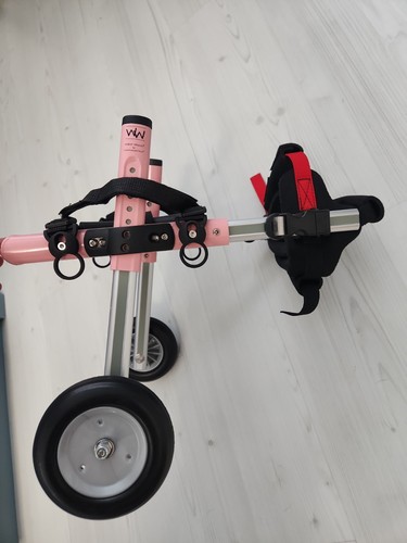 Walkin wheels pet small - walkin',