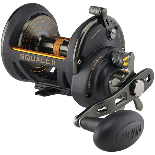Penn squall multiplier - penn, ii