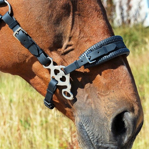 Love hackamore bitless bridle - hackamore,