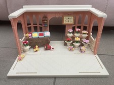 Sylvanian Families Rare Set