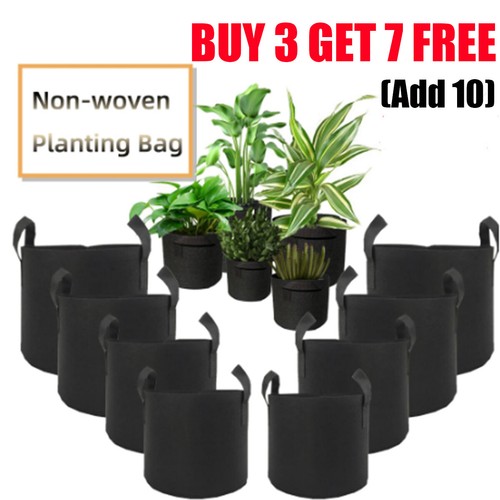 Potato grow bags tomato - grow, plant