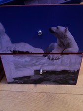 IKEA KALLAX Insert with 2 drawers, red, with polar bear  13×13" For KALLAX Unit