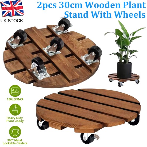 Pack 30cm inch plant - pack,