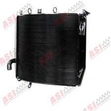 Radiator For Kawasaki Ninja