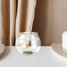 Desktop Fish Bowl Transparent