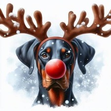 Single Luxury Doberman