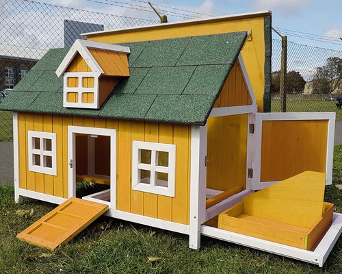Chicken coop run - hen, house