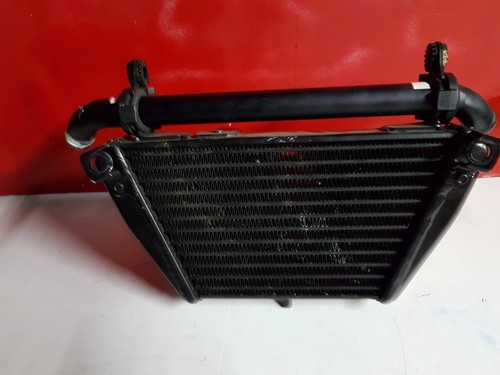 Radiator oil agusta 1000 - radiator,