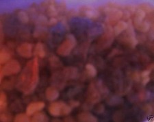 'PATER NOSTER' CHURCH INCENSE