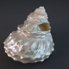 Conical Pearlescent Wavy