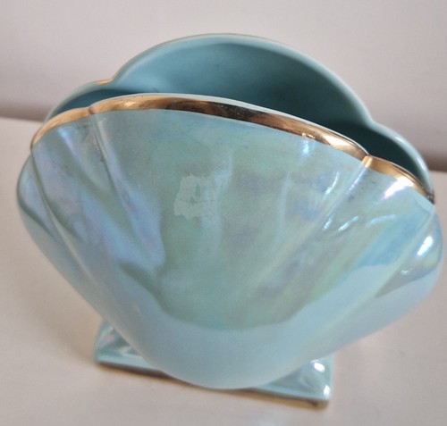 Sadler clam shell - clam,