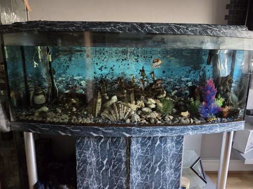 500l aquarium with cabinet - 500l,