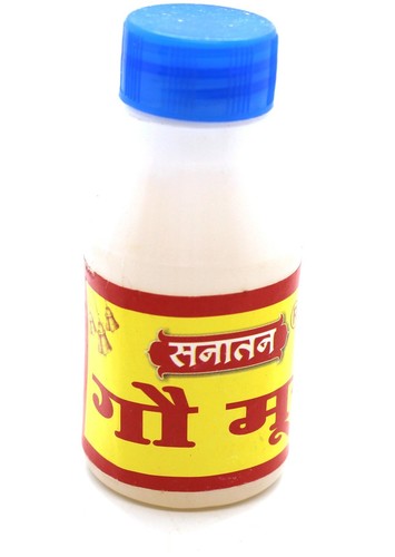Gau mutra puja prayer - puja, hindu