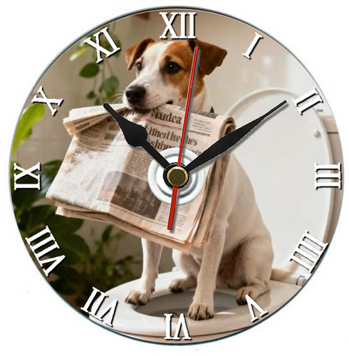 Jack russell terrier dog - terrier, gift