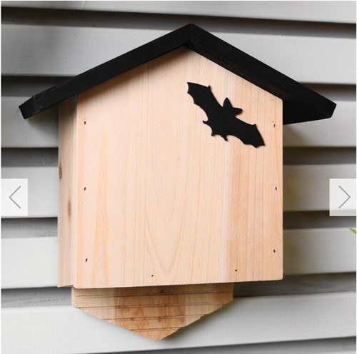 New bat box - box, conservation
