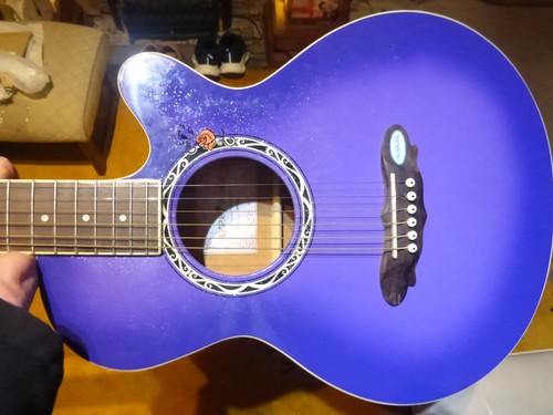 Acoustic guitar gypsy - guitar, rose
