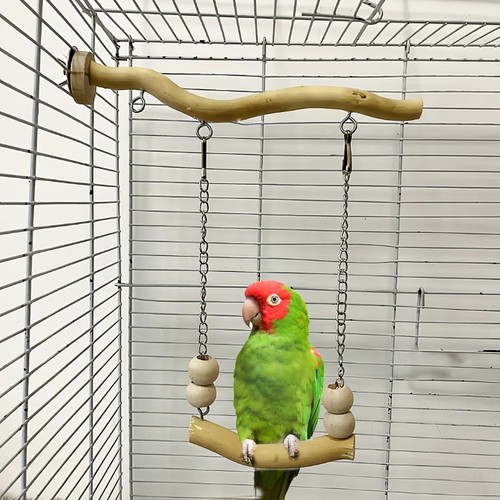 Bird swing perch toy wooden - swing,