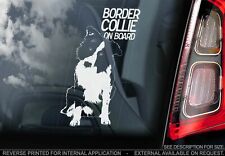 Border Collie Car Sticker -