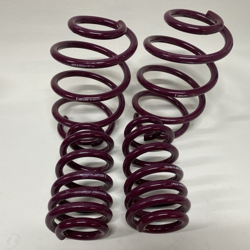 Vogtland lowering spring - t5,
