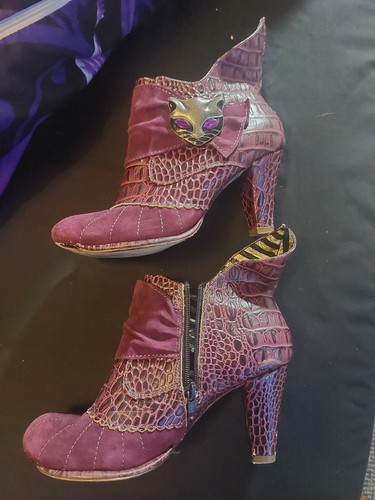 Irregular choice miaow - choice,