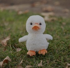 World’s Softest Plush Cream