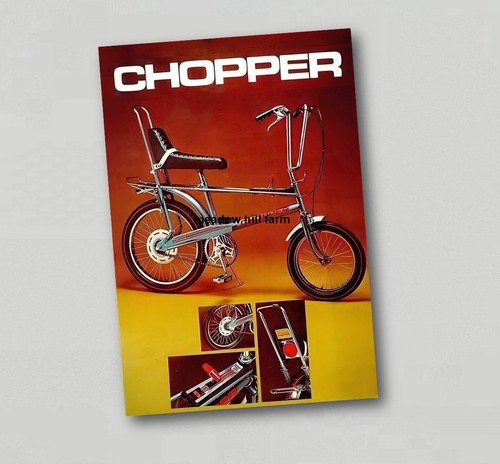 Fridge magnet raleigh bicycle - fridge,