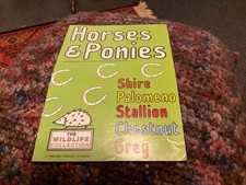 HORSES & PONIES - GARY KENNEDY