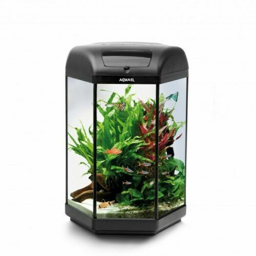 60l hexagon black - fish, tank